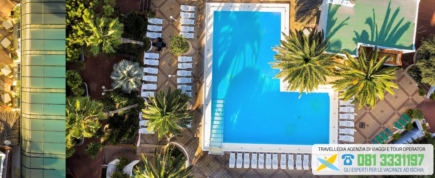 royal palm 14