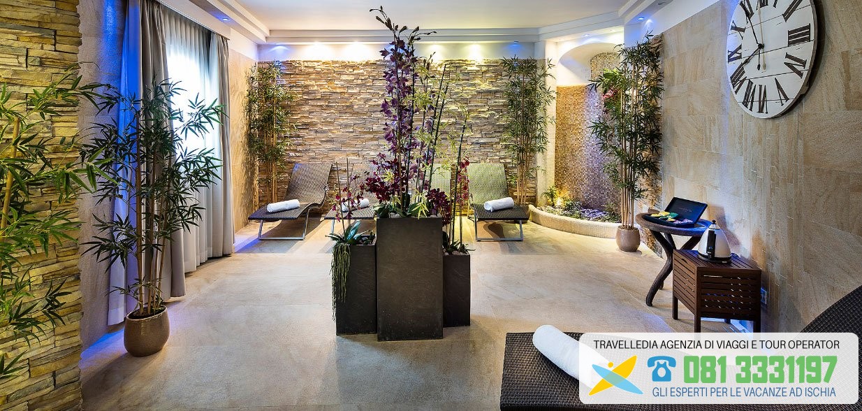 royal palm 26